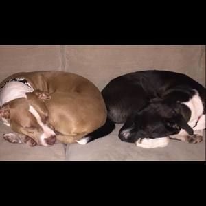 Meet your Posher, Mandy